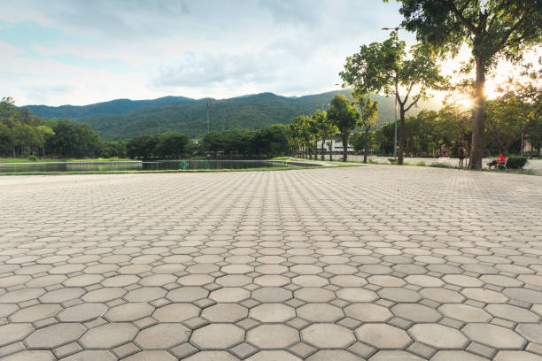 Best Professional Driveway Pavers  in Seatac, WA